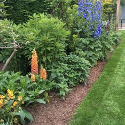 Strulch Mineralised Straw Garden Mulch -Garden Centre Store 100086 4