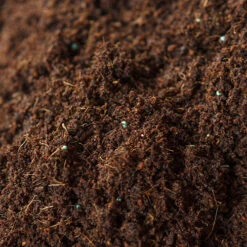 Eazy Grow MP Peat Free Coco Compost -Garden Centre Store 100181 2