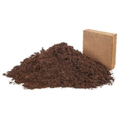 Eazy Grow MP Peat Free Coco Compost -Garden Centre Store 100181 4