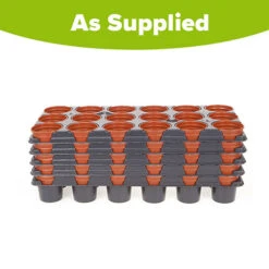 Professional Shuttle Trays -Garden Centre Store 130013 4