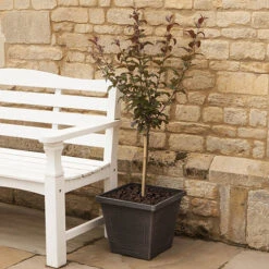 Classic 'Estate' Square Planter -Garden Centre Store 130185 2