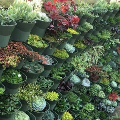 WonderWall Vertical Growing System - 4 Sections -Garden Centre Store 130245 3