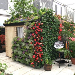 WonderWall Vertical Growing System - 10 Sections 11 WonderWall Vertical Growing System - 10 Sections -Garden Centre Store 130246 2