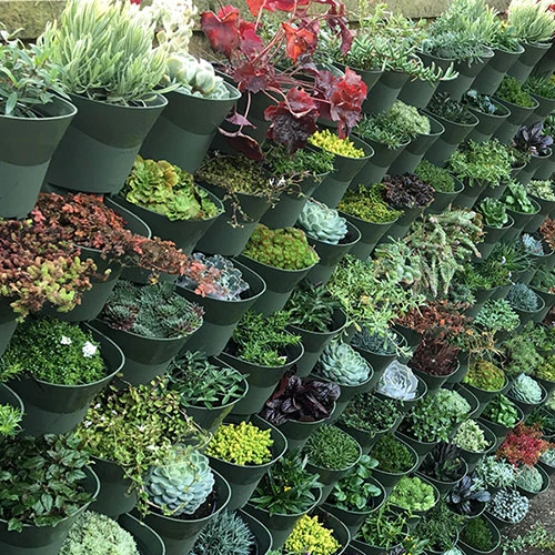 WonderWall Vertical Growing System - 10 Sections 4 WonderWall Vertical Growing System - 10 Sections - Image 4