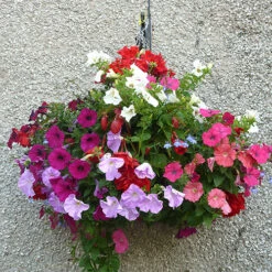 Easy Fill Hanging Baskets 38cm (15in) Pair -Garden Centre Store 130257 3