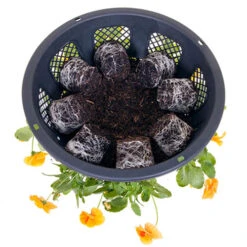 Easy Fill Hanging Baskets 38cm (15in) Pair -Garden Centre Store 130257 4