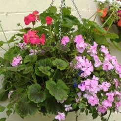 Easy Fill Hanging Baskets 38cm (15in) Pair -Garden Centre Store 130257 5
