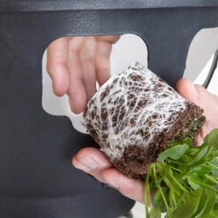 Easy Fill Hanging Baskets 38cm (15in) Pair -Garden Centre Store 130257 6