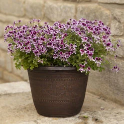 4 X Acorn Planters 25cm (10in) Copper-Tone 5 4 X Acorn Planters 25cm (10in) Copper-Tone -Garden Centre Store 130361 2