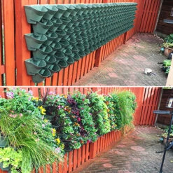 WonderWall - Single Section