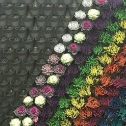 WonderWall - Single Section -Garden Centre Store 130427 6