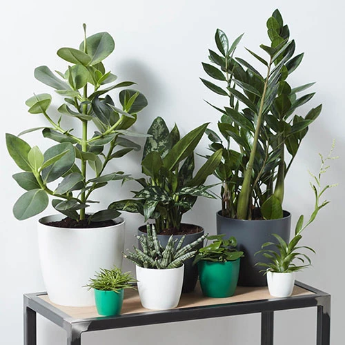 Houseplant Pot Cover 25cm-Anthracite 2 Houseplant Pot Cover 25cm-Anthracite - Image 2