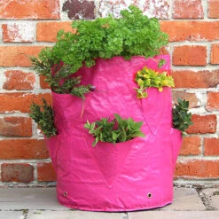 Strawberry And Herb Patio Planter Twin Pack 7 Strawberry And Herb Patio Planter Twin Pack -Garden Centre Store 130497 2