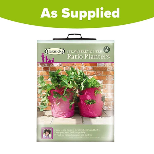 Strawberry And Herb Patio Planter Twin Pack 5 Strawberry And Herb Patio Planter Twin Pack - Image 5