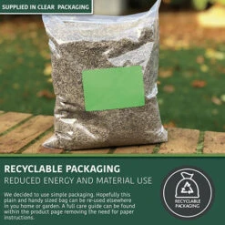 Multi-Purpose & Hardwearing Grass Seed Mix - Back Lawn, 1kg -Garden Centre Store 140101 3