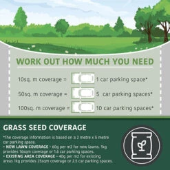 Multi-Purpose & Hardwearing Grass Seed Mix - Back Lawn, 1kg -Garden Centre Store 140101 5