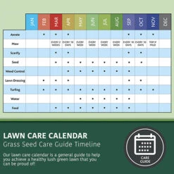 Multi-Purpose & Hardwearing Grass Seed Mix - Back Lawn, 1kg -Garden Centre Store 140101 6