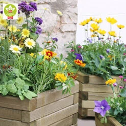 Marford Hexagonal Planter Set 7 Marford Hexagonal Planter Set -Garden Centre Store 160098 3