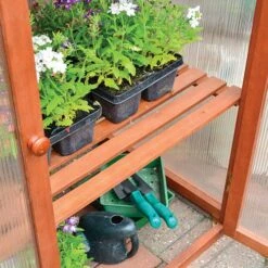 Hardwood Mini Greenhouse -Garden Centre Store 160265 3