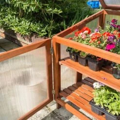 Hardwood Coldframe -Garden Centre Store 160479 3