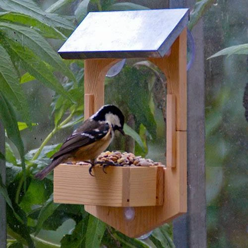 Build Your Own Bird Feeder Kit 2 Build Your Own Bird Feeder Kit - Image 2