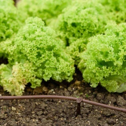 Flopro Beds & Borders Watering Kit -Garden Centre Store 161002 2