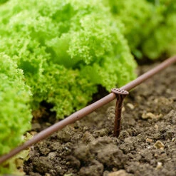 Flopro Beds & Borders Watering Kit -Garden Centre Store 161002 3