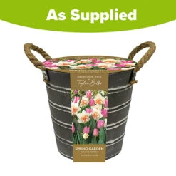 Outdoor Narcissi And Tulip Bucket Planter -Garden Centre Store 161135 3