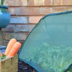 Pop Up Mini Grow Tunnel Cloche -Garden Centre Store 161376 2