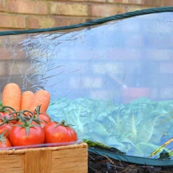 Pop Up Poly Cloche -Garden Centre Store 161385 2