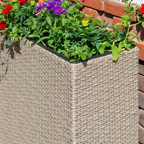 Tall Rattan Planter In Natural Weave 3 Tall Rattan Planter In Natural Weave - Image 3
