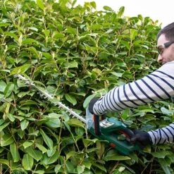Webb 20v 2Ah Cordless Hedge Trimmer 12 Webb 20v 2Ah Cordless Hedge Trimmer -Garden Centre Store 180267 5