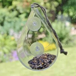 Dewdrop Window Feeder 10 Dewdrop Window Feeder -Garden Centre Store 190049 4