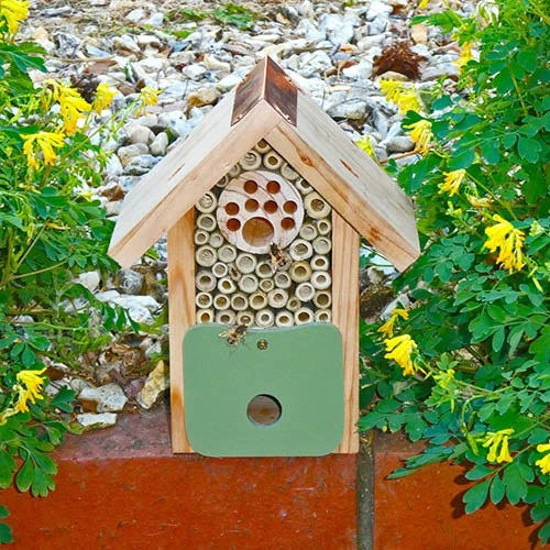 Bee Barn 5 Bee Barn - Image 5