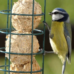 Garden Centre Store -Garden Centre Store 190071 1