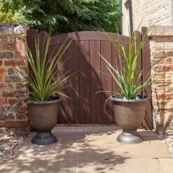 Pair Of Cordyline And Decorative Stripe Urns