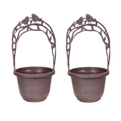 Narcissus 'T?te-?-T?te' Collection With Planters And Compost 7 Narcissus 'T?te-?-T?te' Collection With Planters And Compost -Garden Centre Store 201203 3