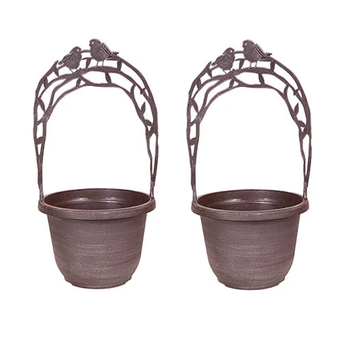 Narcissus 'T?te-?-T?te' Collection With Planters And Compost 4 Narcissus 'T?te-?-T?te' Collection With Planters And Compost - Image 4