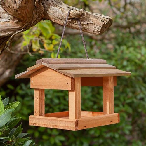 Hanging Bird Table 2 Hanging Bird Table - Image 2