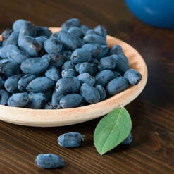 Honeyberry 6 Honeyberry -Garden Centre Store 310034 2