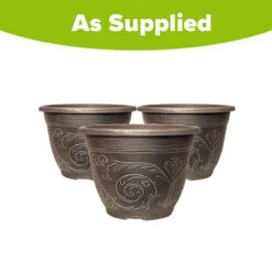 Blueberry Collection With Decorative Pots 11 Blueberry Collection With Decorative Pots -Garden Centre Store 310082 4