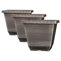 The Complete Blueberry Growing Kit -Garden Centre Store 310083 5