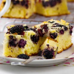 Morus Rotundiloba 'Mojoberry' Dwarf Mulberry -Garden Centre Store 310092 7