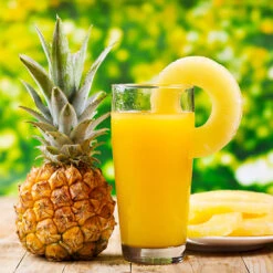 Edible Indoor Pineapple Plant - Ananas Comosus. 9 Edible Indoor Pineapple Plant - Ananas Comosus. -Garden Centre Store 340031 3