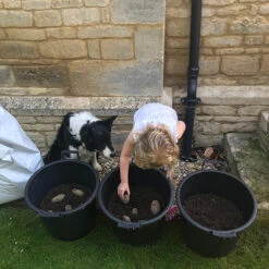 Complete Patio Potato Growing Kit -Garden Centre Store 350007 5