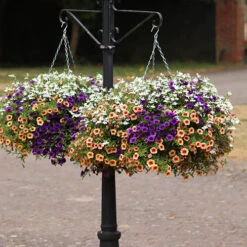 'Fruit Salad' Pre-Planted Basket 6 'Fruit Salad' Pre-Planted Basket -Garden Centre Store 450013 2