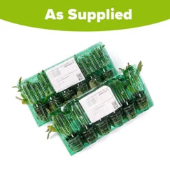 Power Daisy Collection -Garden Centre Store 480393 8