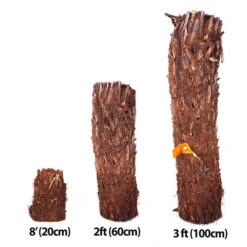 Tree Fern Dicksonia Antarctica Log 17 Tree Fern Dicksonia Antarctica Log -Garden Centre Store 500071 8
