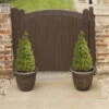 Pair Of Buxus Box Pyramids
