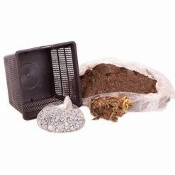 Water Lily Planting Kit - White -Garden Centre Store 580027 4